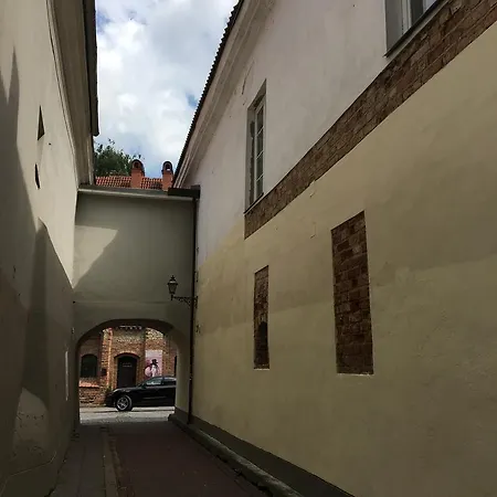 Skapas Street Апартаменти Вільнюс